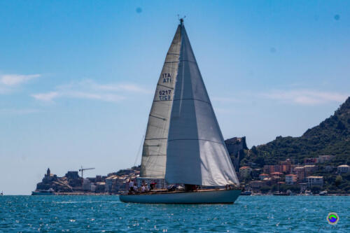 IMG 9444