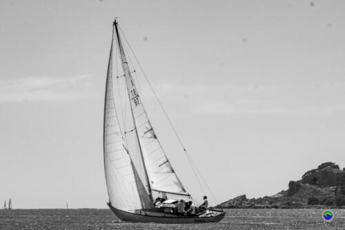 IMG 9492
