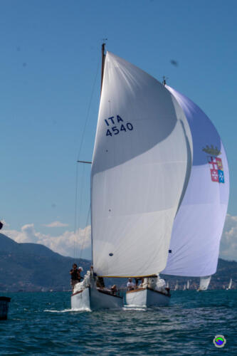 IMG 9674
